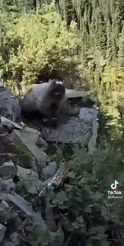 It&rsquo;s just a prairie dog&hellip;