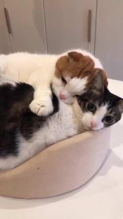 Kneading all over your body