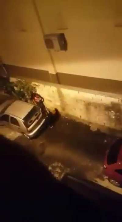 Siz siz olun asla apartman boşluğuna işemeyin her yerin ıslanıyor amk b&ouml;yle işin..