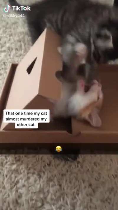 Goodbye little one