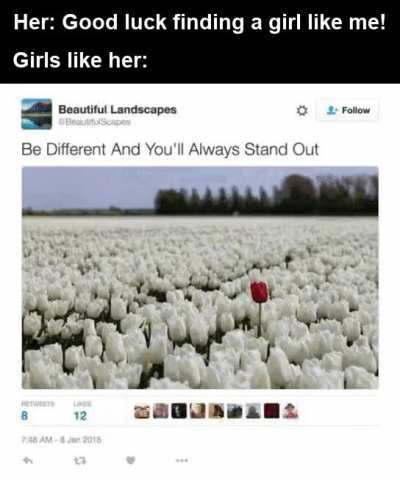 To standout