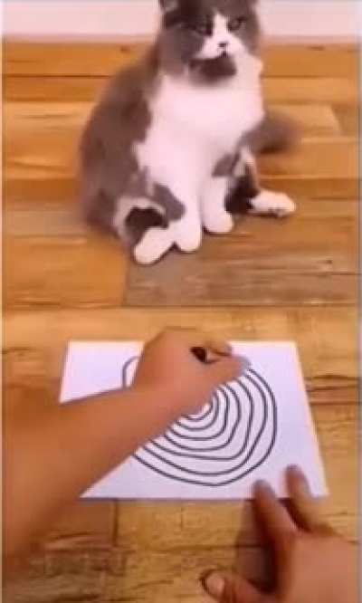 Couldn&rsquo;t stand the spirals