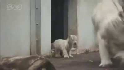 White tiger Mum!