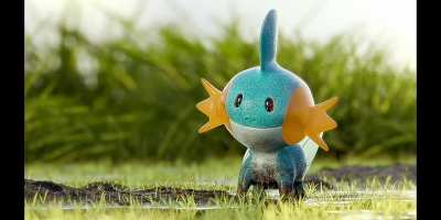 Mudkip bits