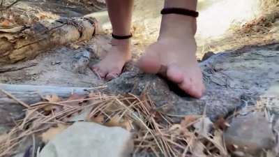 Mountain Trails