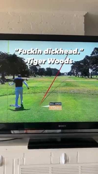 &ldquo;Fuckin dickhead.&rdquo; -Tiger Woods