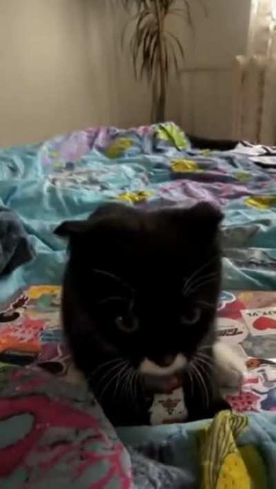 Jump scare