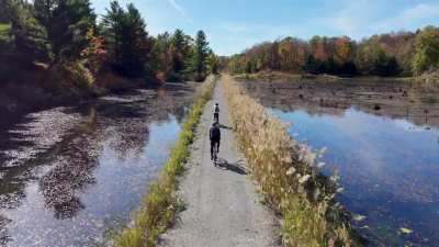 DJI Mini 5 Pro active track on a beautiful gravel bike ride north of Kingston Ontario