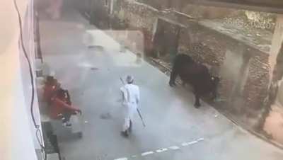 Вот эти двое сидят спокойно и ничего, живы-здоровы