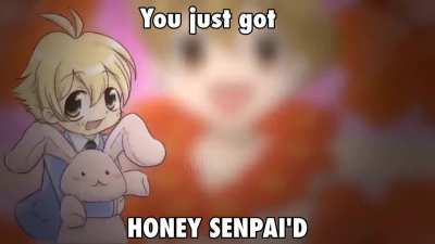 Bunny Honey