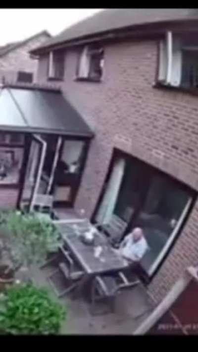 Just chillin' in your backyard