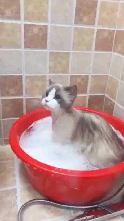 Shower time