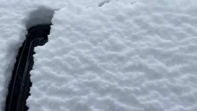 The way snow lines up after door is closed