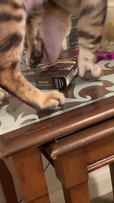 Was just watching Netflix and turned around to see my cat licking my cigs, I think he was a pack a day smoker in a previous life 🚬