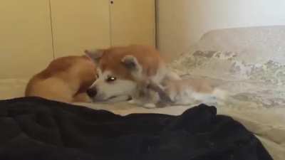pay attention to me