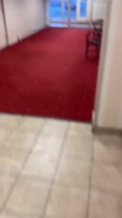 Run!