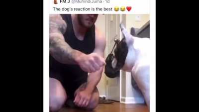 the dog was like &ldquo;are you for real&rdquo; 😂