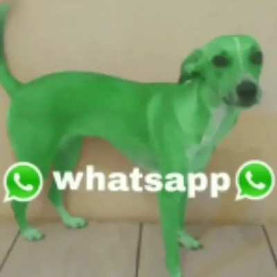 Whatsapp🤣🤣🤣🤣