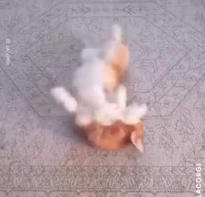 Tadaa!