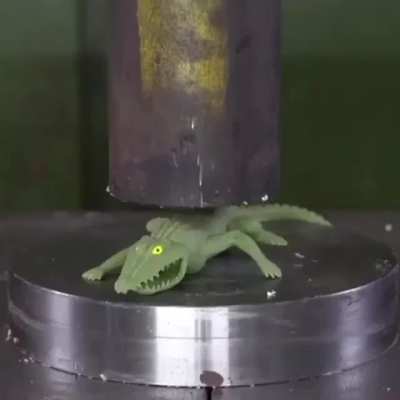 See you later, alligator
