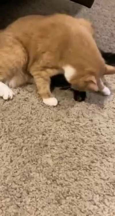YOU MUST BE CLEANED