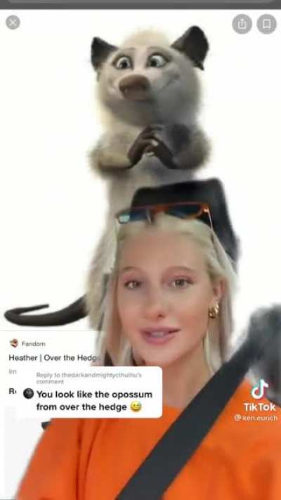 You look like the opossum from Over the Hedge