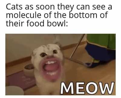 I'm going to die of starvation.