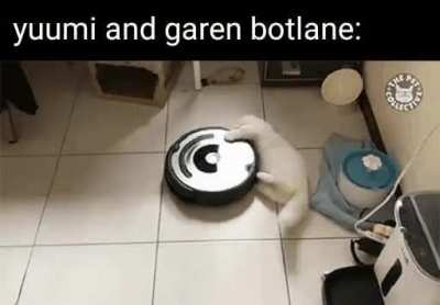 gotta go fast