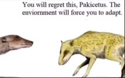 Comical evolutionary meme