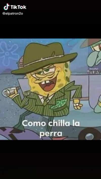 Bobes ponga Cholo 🤑🤑🔥💵💸💸💵💸💸💸🚬🚬🚬💲💲