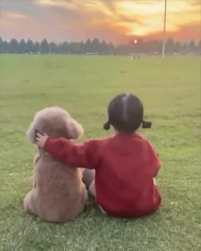 Funny dog video