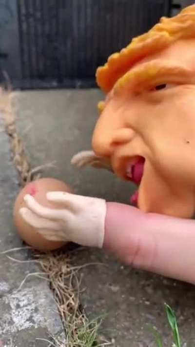 EGG