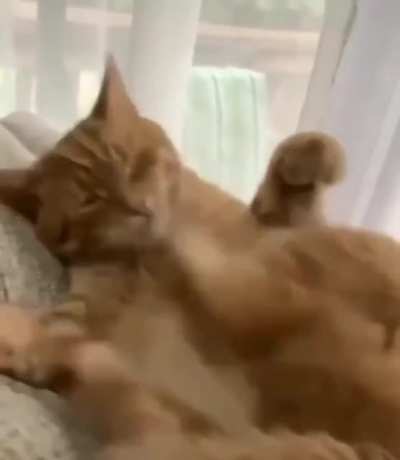 Maybe maybe maybe