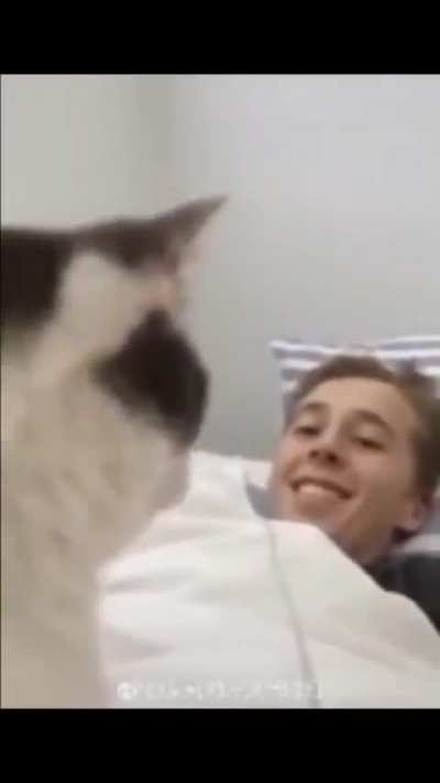 BeelcitosMemes - Video #1178