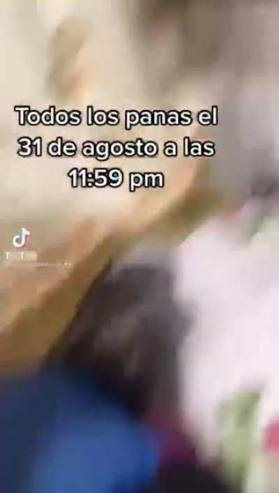 El hombre menos desesperado de vita