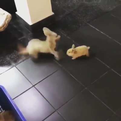 Don&rsquo;t sneak up on me like that!