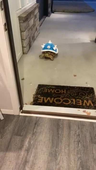Halloween night we put Esther out to greet the kids trick or treating and let them pet her. She was NOT having it. 🤣. I forgot to post the video.