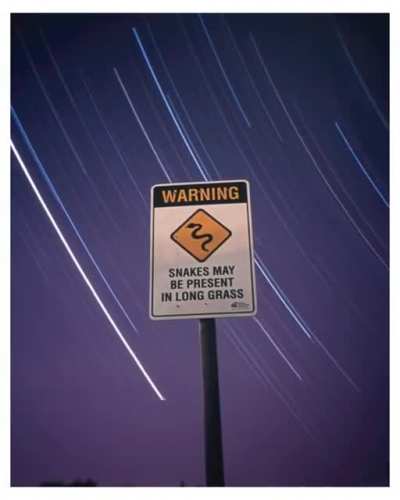 Sky Snakes