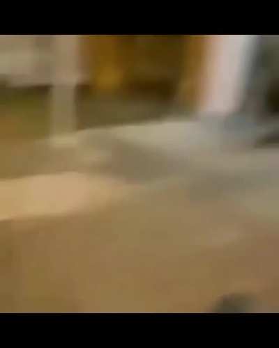 ola
