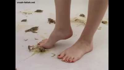Masha Barefoot (Part 2)