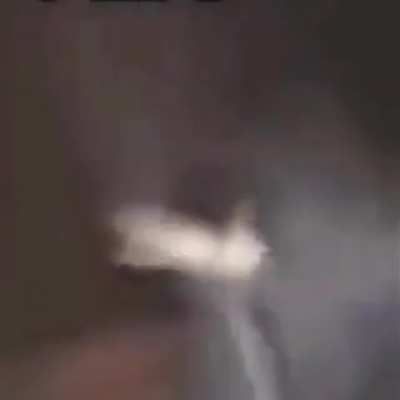 comment "amigos" on this post and nothing else