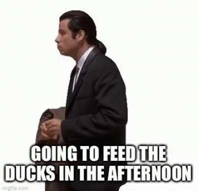 I wish I&rsquo;d gone in the morning, now they&rsquo;re full and uninterested...