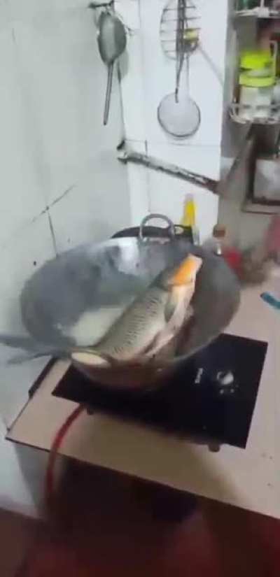 Cooking is a magical experience