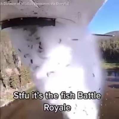 Rule
