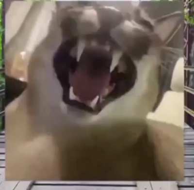 piss