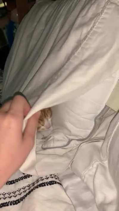 Wait for it...