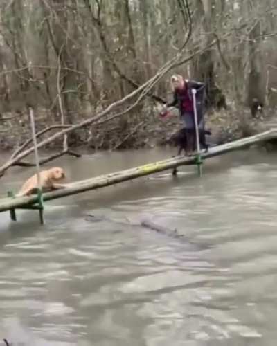 Friend in need .