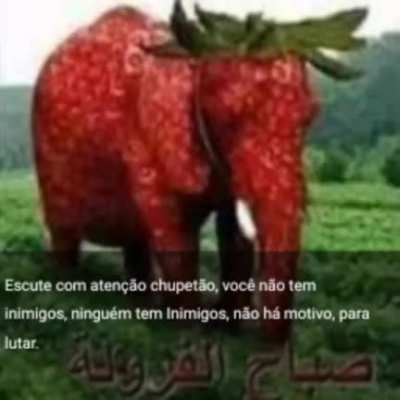 Emocionante 