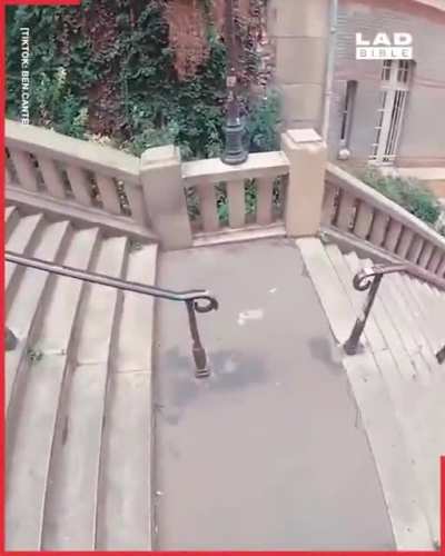 Impressive&hellip; stupid or both ?