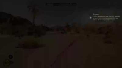 Damn you shaq